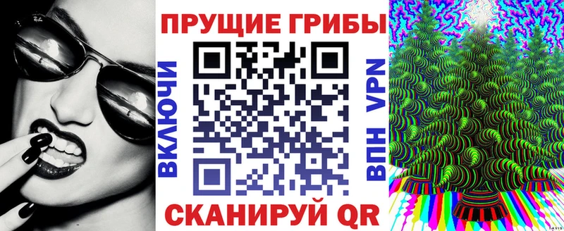Галлюциногенные грибы Psilocybe  Нововоронеж 